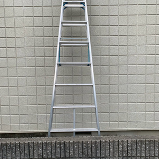 脚立 2メートル50センチ越え！