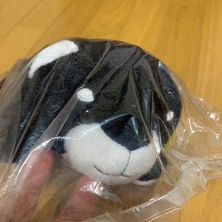 柴イヌころりんの画像