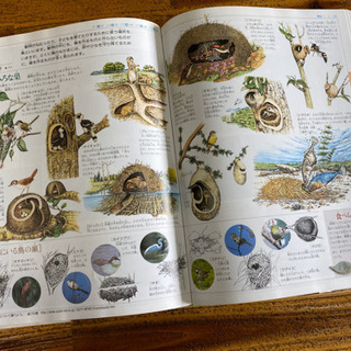 【小学館】【美品】21世紀こども百貨、ふしきの図鑑、小学生のエコ工作の画像
