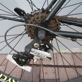 Raychell+ R+713 GolDragon (レイチェルプラス)（ゴールドラゴン