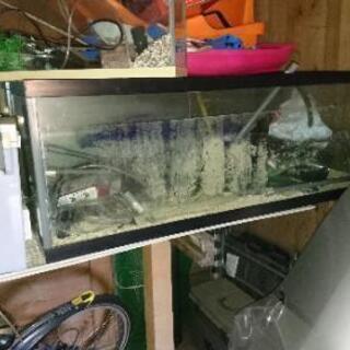 120の水槽
