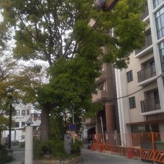 スクール open見学会屋形町校  の画像