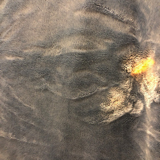 極暖・極厚・毛布の画像