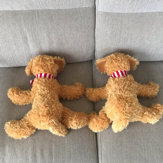 子いぬ　ぬいぐるみ 2つの画像