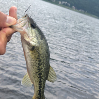 バス釣り部🎣山梨❗️メンバー募集 - 友達