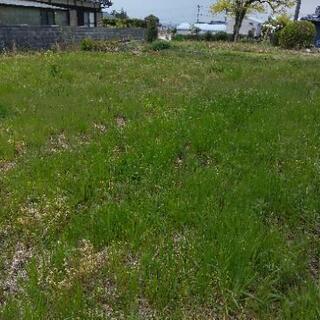 山口市　草刈りお安く致します。