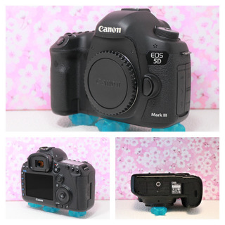 お値引きできます Canon キヤノン EOS 5D Mark Ⅲ ダブルレンズセット