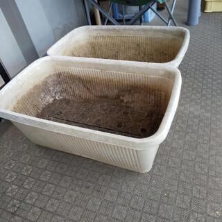 大型プランター、ふたつ