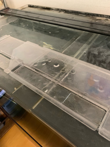 ブラックアロワナ水槽セット