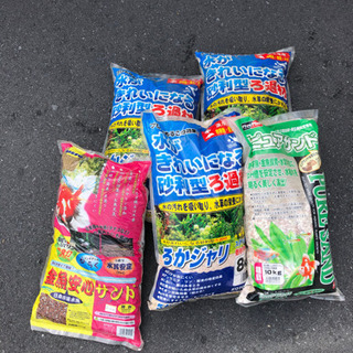 金魚用