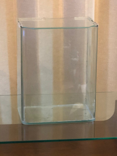 ガラス水槽 25cm 角あり
