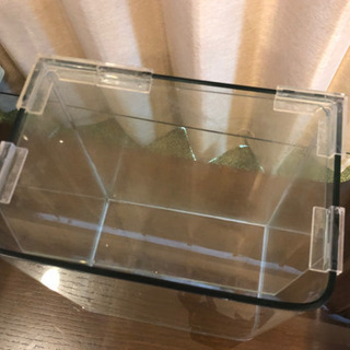 ガラス水槽 25cm 角ありの画像