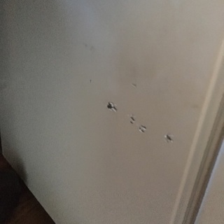 小型冷蔵庫差し上げますの画像