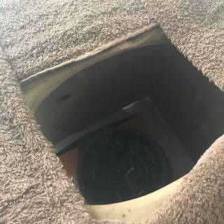 よもぎ蒸し　お届けレンタルしてzoomで方法などお伝えします！の画像