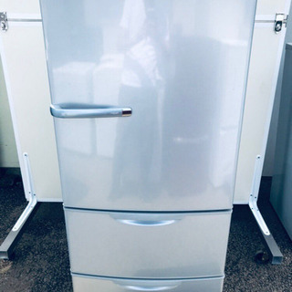 パラオトシン ハロルドイ F1 25匹