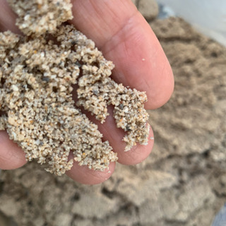 海水魚用の砂 ７kg　０円