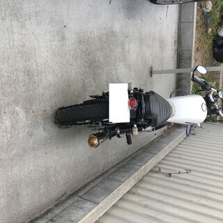 グラストラッカーの画像