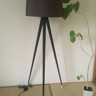 【大人気FrancFranc美品】一点豪華主義/和モダン