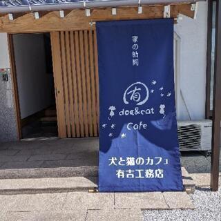 犬と猫のカフェ有吉工務店🐾お待ちしております🐾の画像