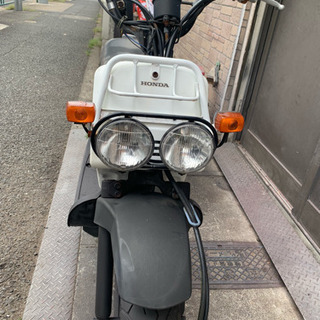ズーマー ホワイト 絶好調 ！