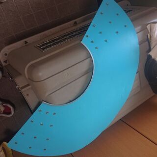 大型犬 エリザベスカラーの画像