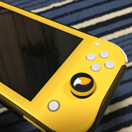 ニンテンドー　Switch lite スイッチ　ライト　あつまれ　どうぶつの森