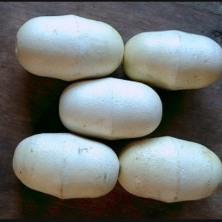 フロート(浮き子／あば)100個まとめてセット