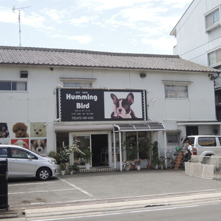 パート募集　子犬の世話　犬舎の清掃　週2日～4日程 勤務時間10...