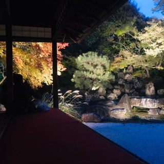 同年代の友達募集します！