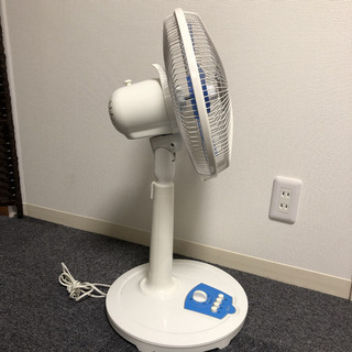 REED メカ式 リビング扇風機 5枚羽根 30cm RD-BM3001B 押しボタン式 シンプル の画像
