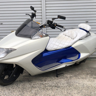 マグザム　車体　美車　人気