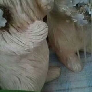 ラビット置物 ガーデニングの画像