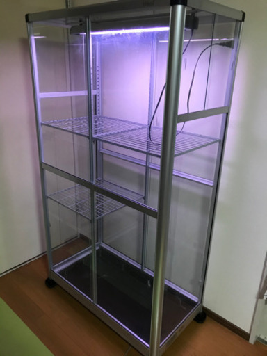 取取引完了⭐︎温室⭐︎ガラスショーケース⭐︎照明、サーモスタッド付き