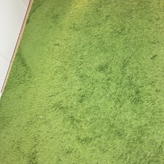 値下げしました【IKEA】ラグ 160×230cm
