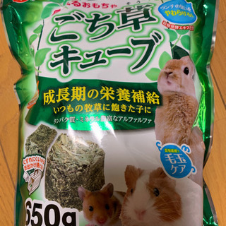 小動物 餌