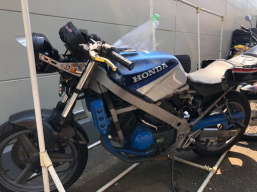 VTZ250cc 不動