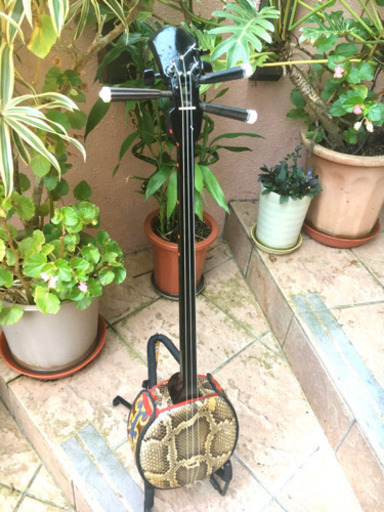 三線（特注品）