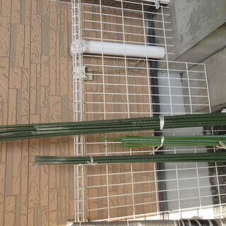 園芸支柱　中古の画像