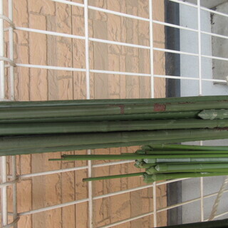 園芸支柱　中古の画像