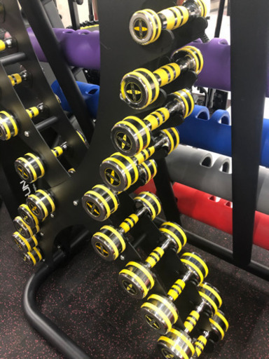 縦型ダンベルラックセット　1kg〜10kg