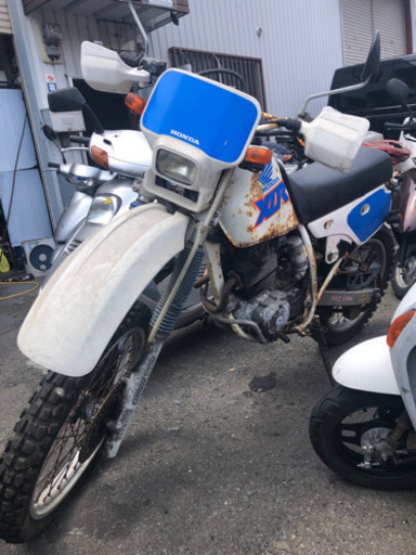 HONDA XLR250R  不動　ジャンク　福岡市南区