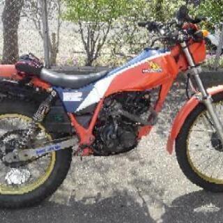 HONDA TLR200 トライアルバイク