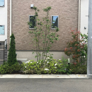 エクステリア　植え込み　木　苗ごと　あげます