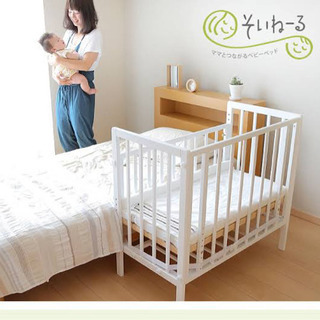 そいねーる　ショート・ナチュラルカラー（茶）の画像