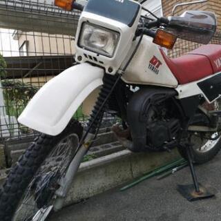 dt125(17F)