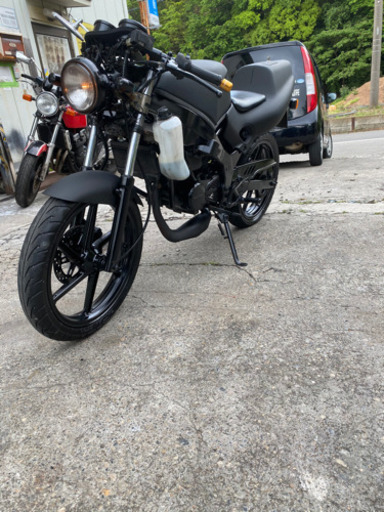 希少　NS1
