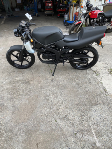 希少　NS1