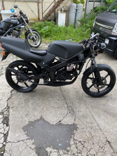 希少　NS1