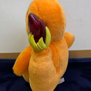ポケモン・シッポ光る‼️縦30㎝×20㎝　500円‼️の画像