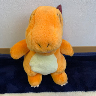 ポケモン・シッポ光る‼️縦30㎝×20㎝　500円‼️の画像